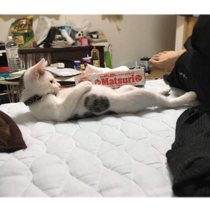 4c45f661 036d 4f6b b8d9 840d7781227a