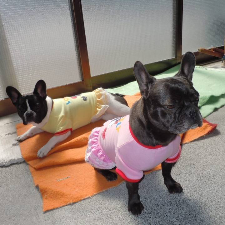 4c463875 5e5d 493e 8384 06a9d7cdfe81