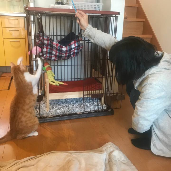 4c46adea 65dd 42ba 85a3 2c8b071e4461