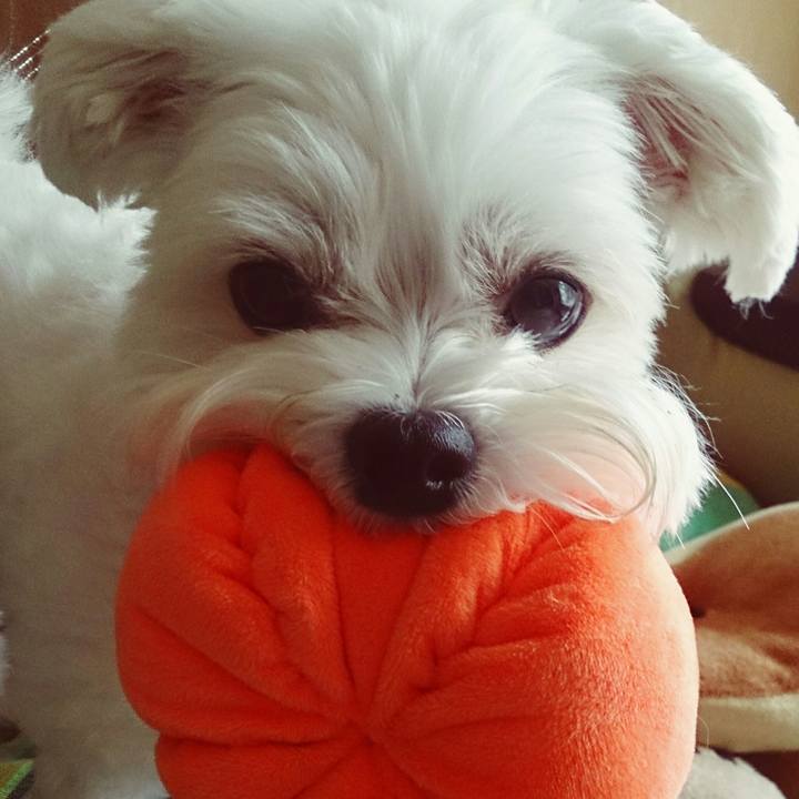 4c477356 7c5d 4e8f bba0 d1f55f66cac3