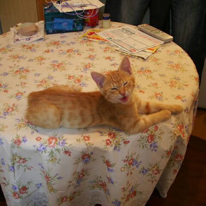 4c479387 7f07 41ed a4a1 0760df155ba8