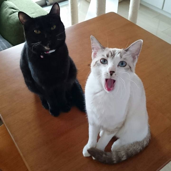 4c47a19a 47a9 4f5c 8409 8635aa175210