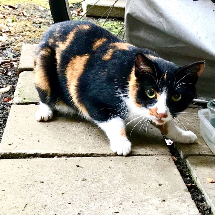 4c485287 a5a6 4a2a 88a4 883033d6711e