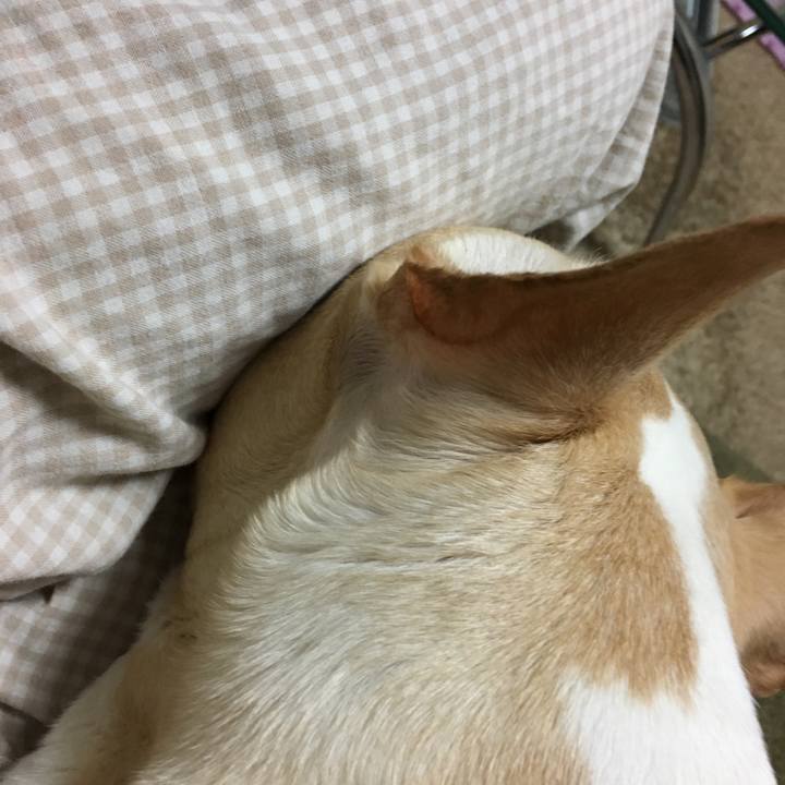 4c48b6b6 8b5c 4a02 95cf 25a79ae4bae5