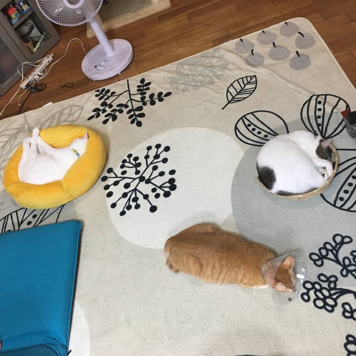 4c48fca6 27cb 4d22 b774 087d2f6bd8f4