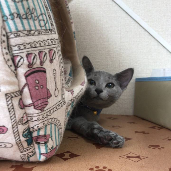 4c4903d3 548d 4850 9d6a c0c082f4ebec