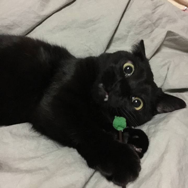 4c4908fb eb28 407d 8849 6d3a0fd11343