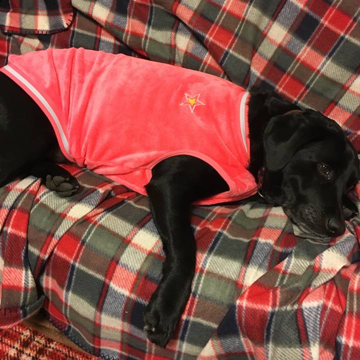 4c4943e9 b3eb 40ff be3a ef79b0d747ee