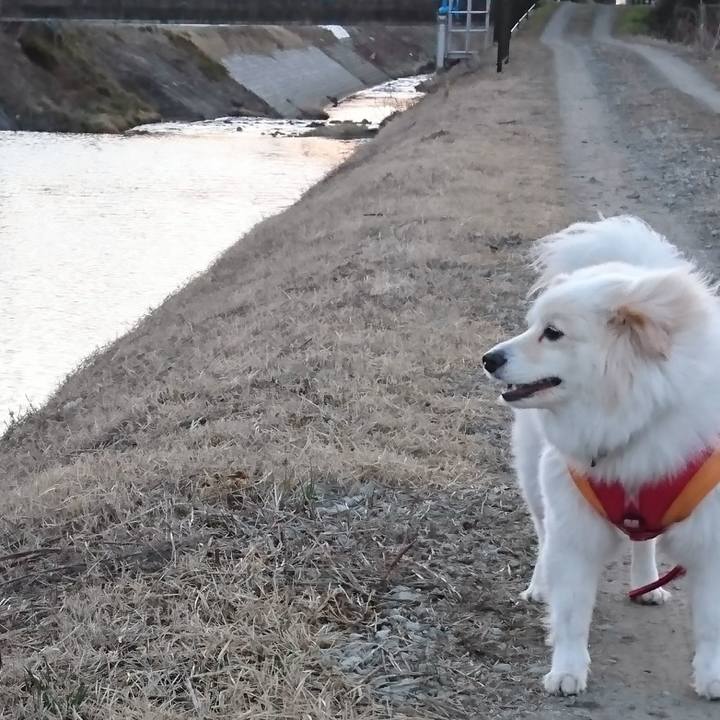 4c49c0c9 6df0 4695 a427 1ca890ddb285