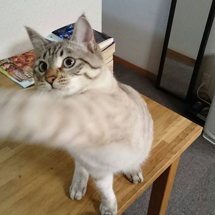 4c4a6767 6b87 4a31 9d7b 67a3cf095807