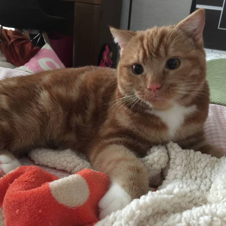 4c4a6e5e be44 445c 9fc9 5730593839bd