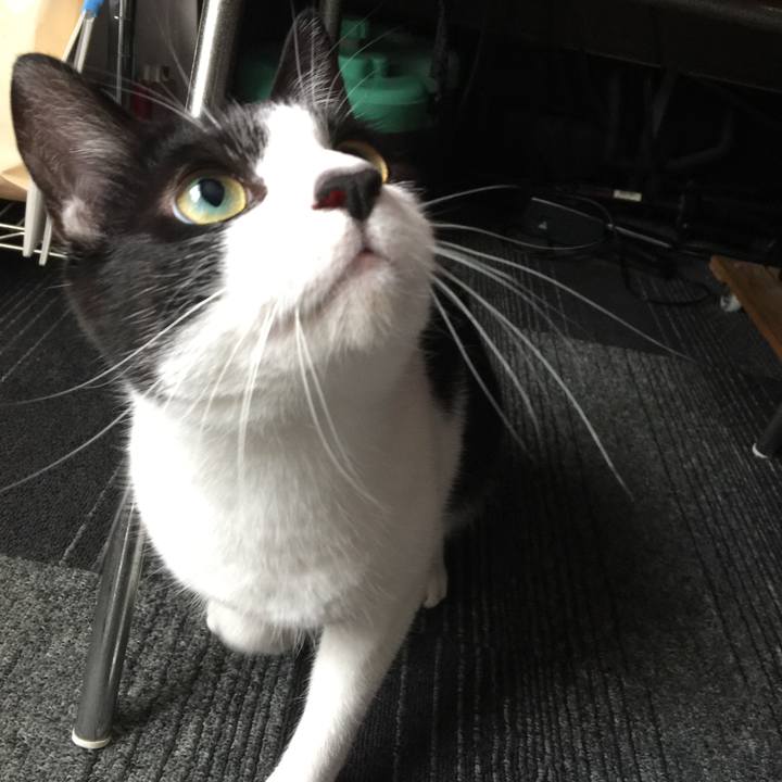 4c4a98b1 2393 4be3 b939 4b788f584999