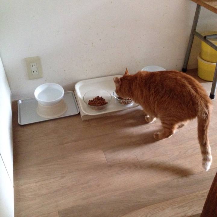 4c4b1f72 0c14 4b6a b1ed cb4c444881ac