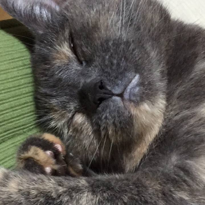 4c4b796e 680d 4643 9c22 f257c6501888