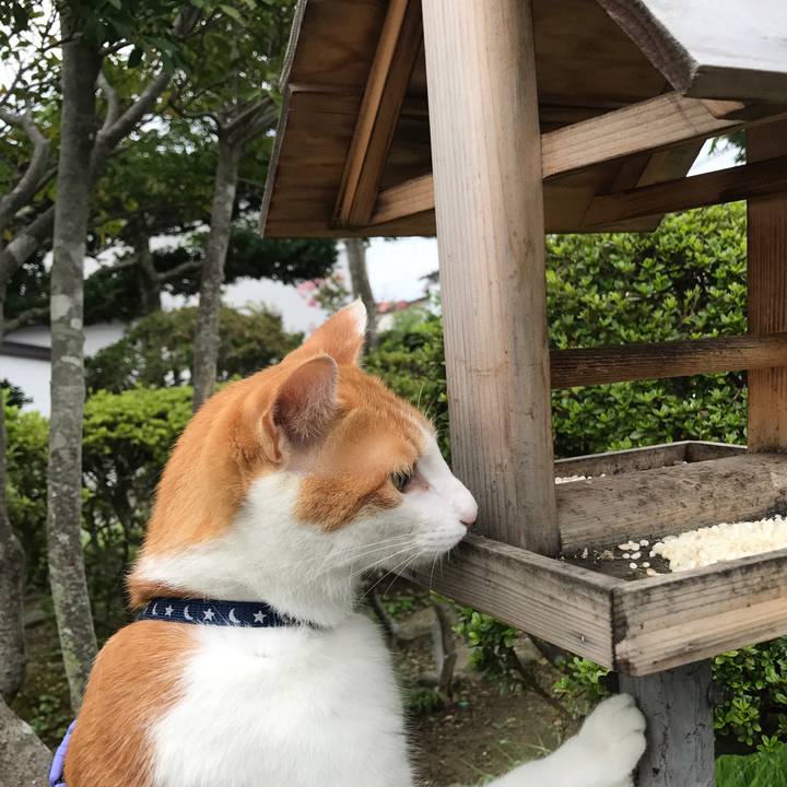 4c4c35e4 8ce9 4ad1 b151 a0cbdc896d00