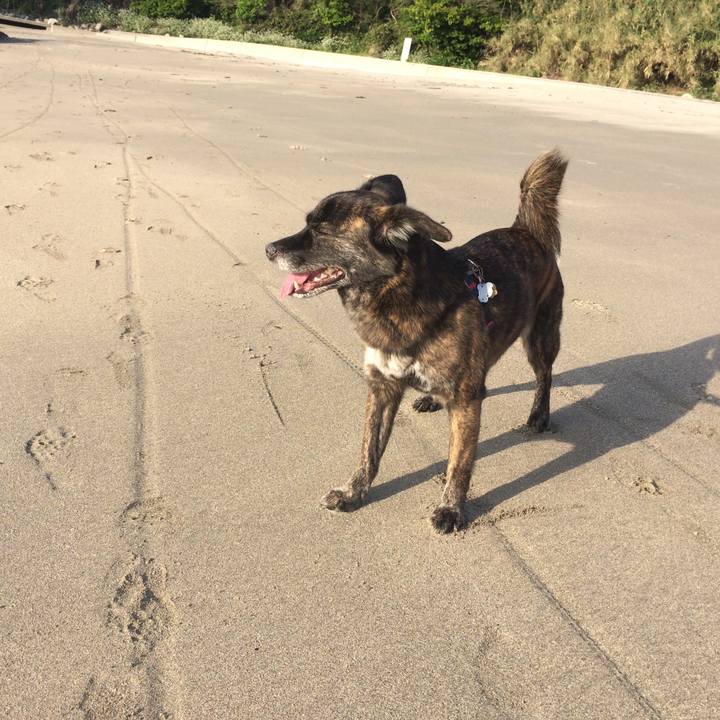 4c4c947d 3f05 44bc 976e e9ba5145babb