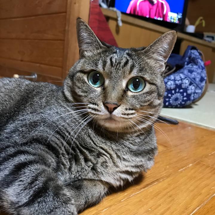 4c4cf6ff 29af 484e b820 c1e08426d881