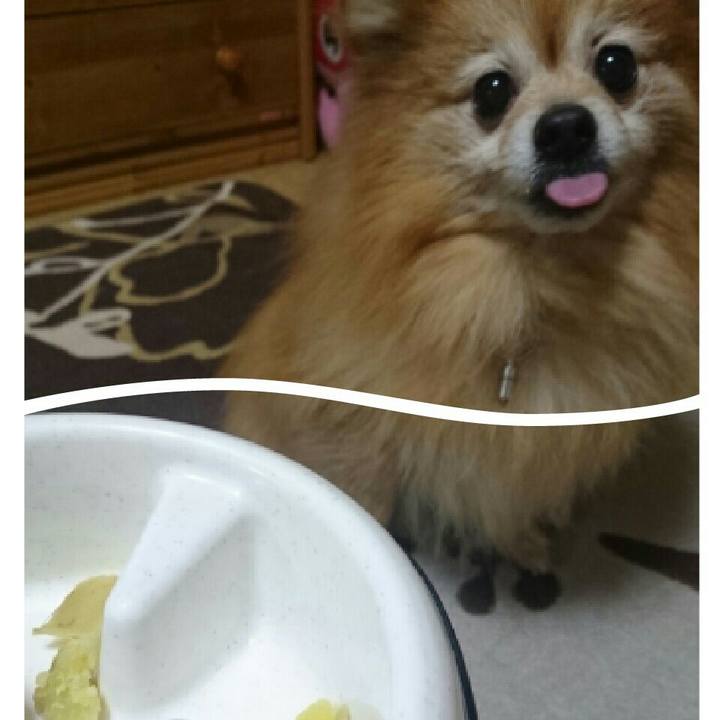 4c4dd285 af54 4973 8ceb ed22bbf6ef68