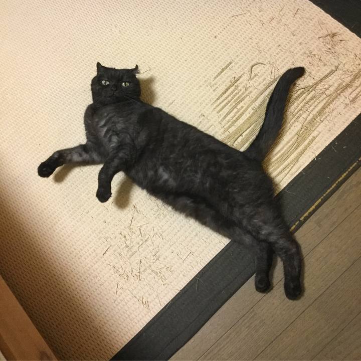 4c4e51ff 45ff 4643 a991 36ced76467ce