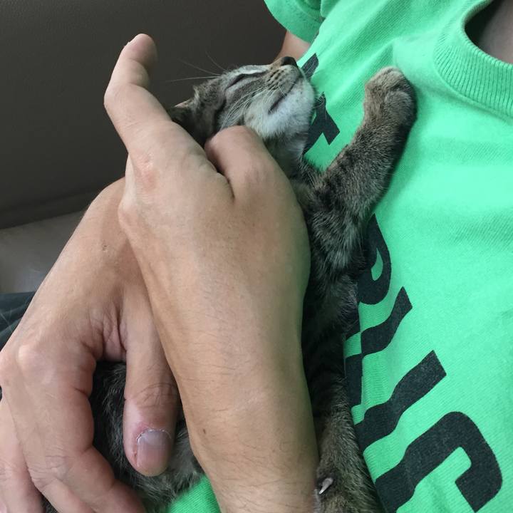 4c4edad7 6fc3 494e ab3c f497c58f49ef