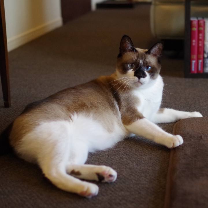 4c4f00d3 1cd0 4c67 8771 4b610687a4d0