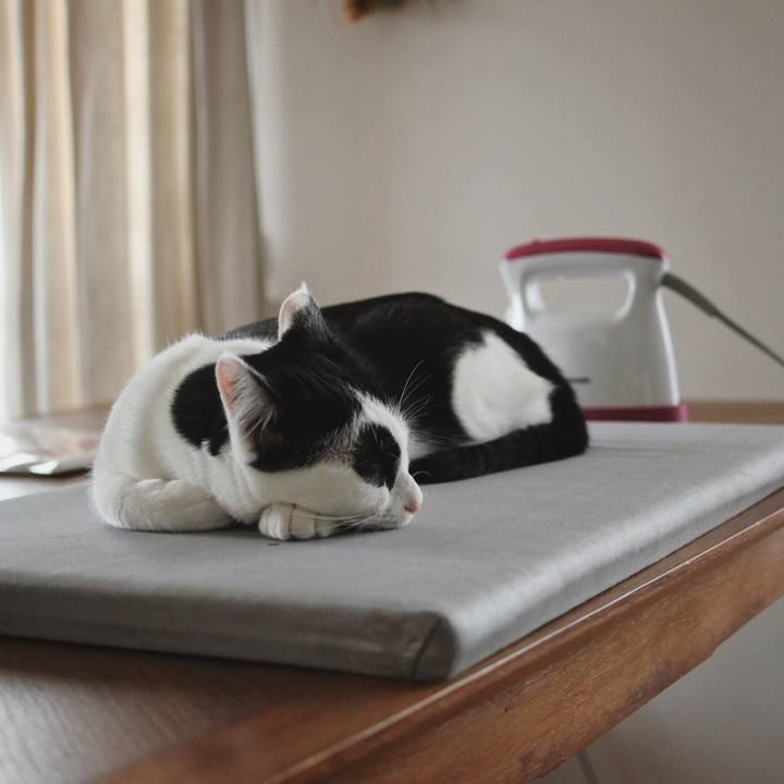 4c4f12b3 8a01 4bea b508 2372a7e890cf