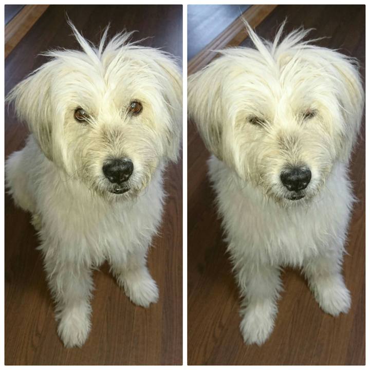 4c4f1602 4e26 42ad 9ee5 c92f51d662ec