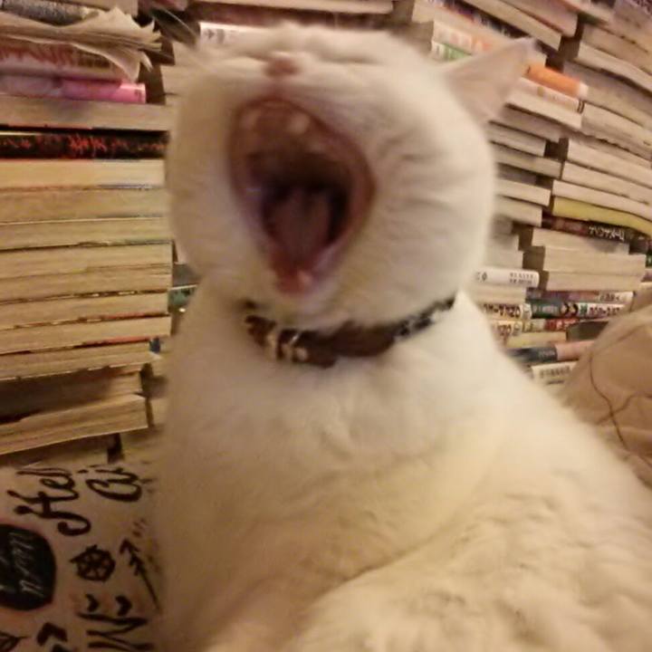 4c4fae71 93ec 4a55 b970 4ba073ab3ed6