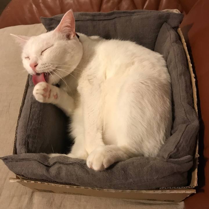 4c4fb085 1765 4dbf 992b e6f0f7b577fd