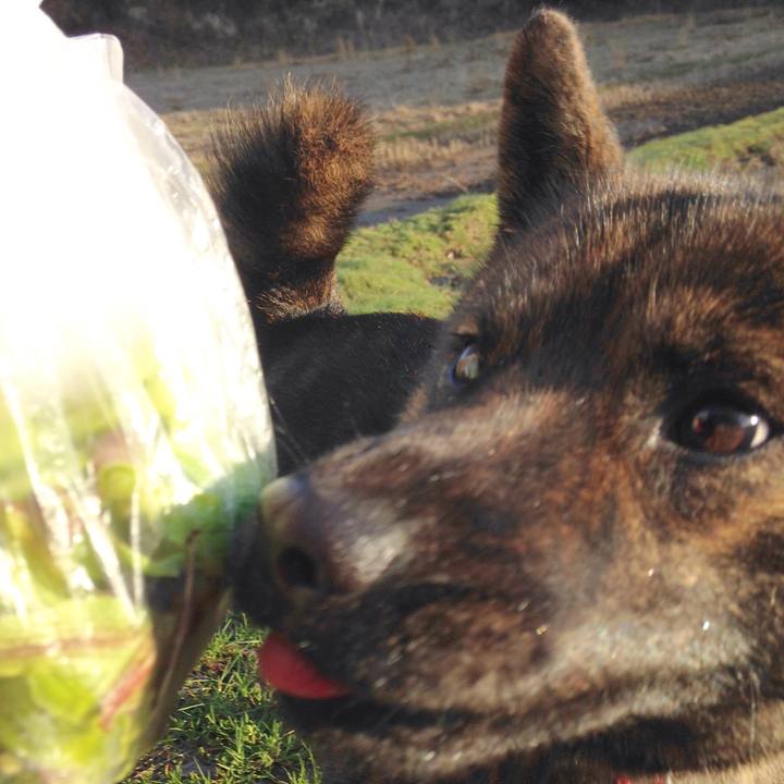 4c50d4e2 563c 4b62 afc9 ab28c4535046