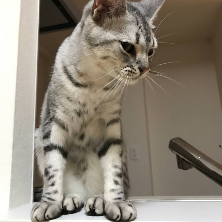 4c51389b be9e 49d3 808d caaefcd41529