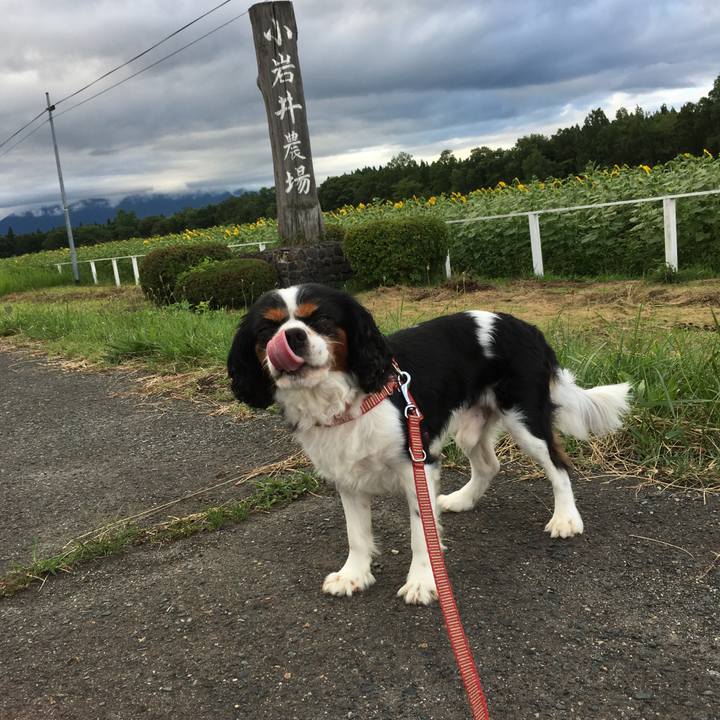 4c51e349 c101 4751 a791 d7dd2632ca09