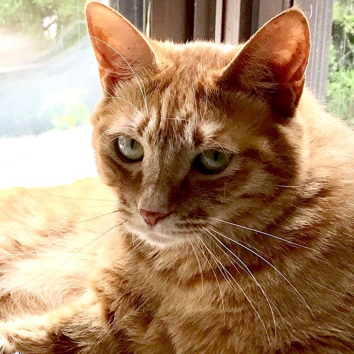 4c521992 9c31 4bcb 82a3 739b773fae3c