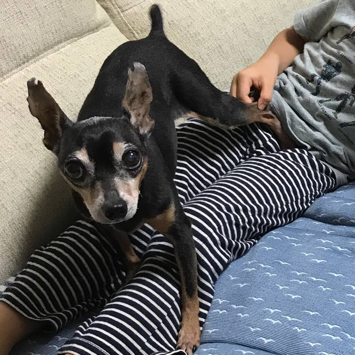 4c529afd 59eb 4ebe be81 0b5f4280c0e4