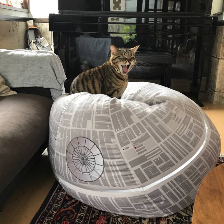 4c52e354 f5b9 4f26 a8fe f67285c7b50e