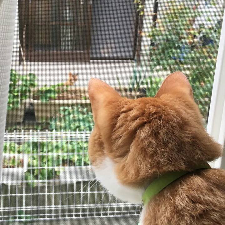 4c538493 eb1a 4a4b 8202 d759930c267c