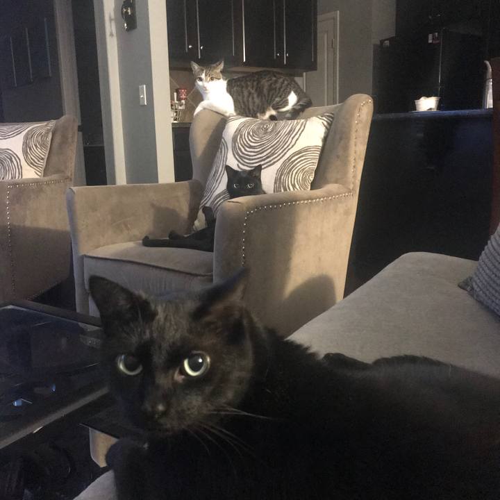 4c538908 5b4c 4d67 8c7c 5e82e746f748