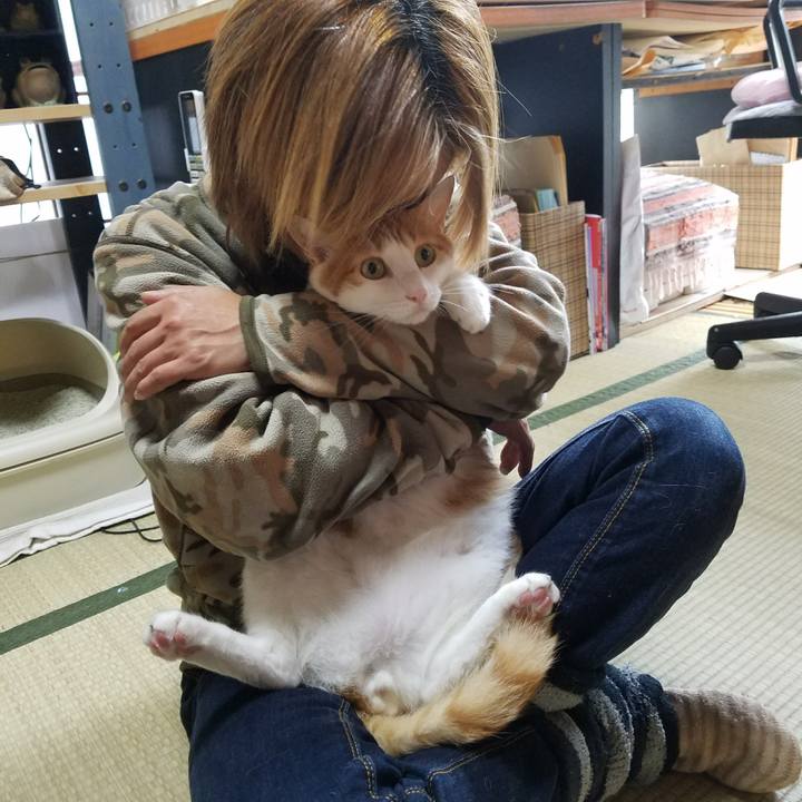 4c53d947 c7c8 42ae 8eec 692ef013a487