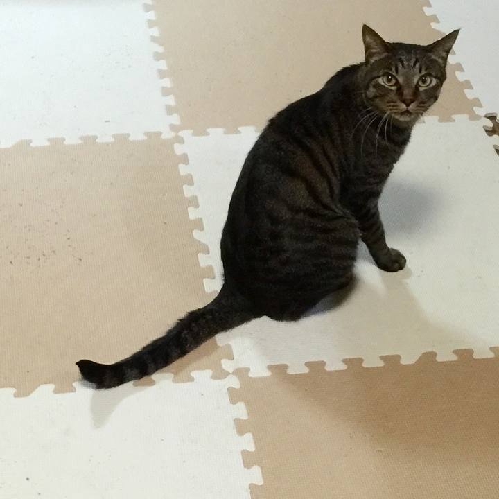 4c542d9f 56b2 4359 9383 80405c1b2265