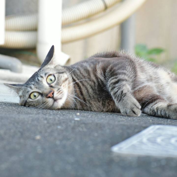 4c57a59c 2a30 4a82 9118 6e7ba8982f57