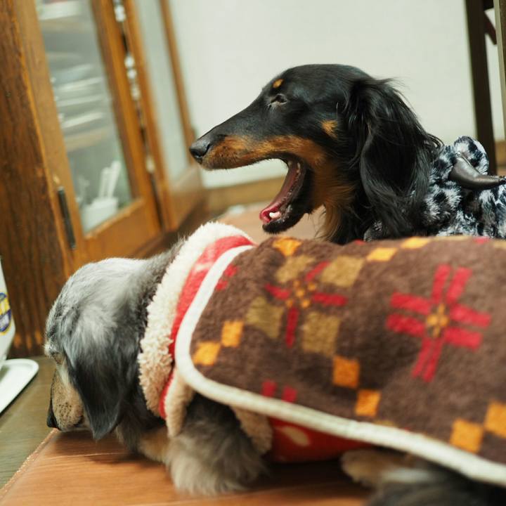 4c57b47d 541a 4d75 8fe5 29596b1d1c15