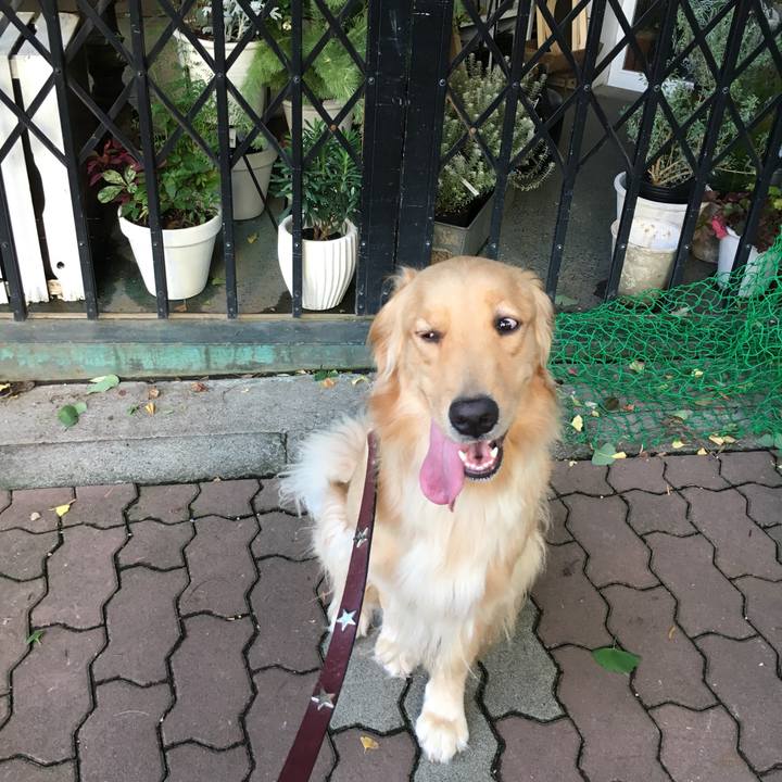 4c58166d 9605 4365 a2c5 d0f656e8cc28