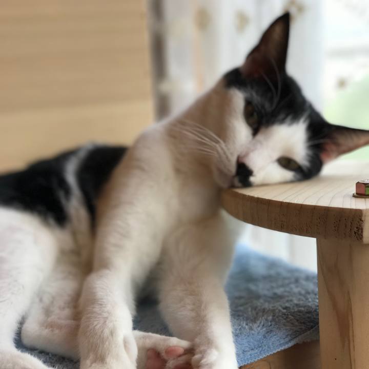 4c591805 f3e7 42c2 8946 1f664097c024