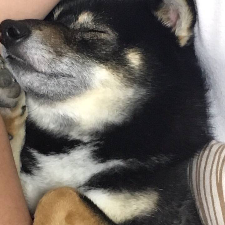 4c59bf8b 1ff5 47c2 b4a4 753af86962a5