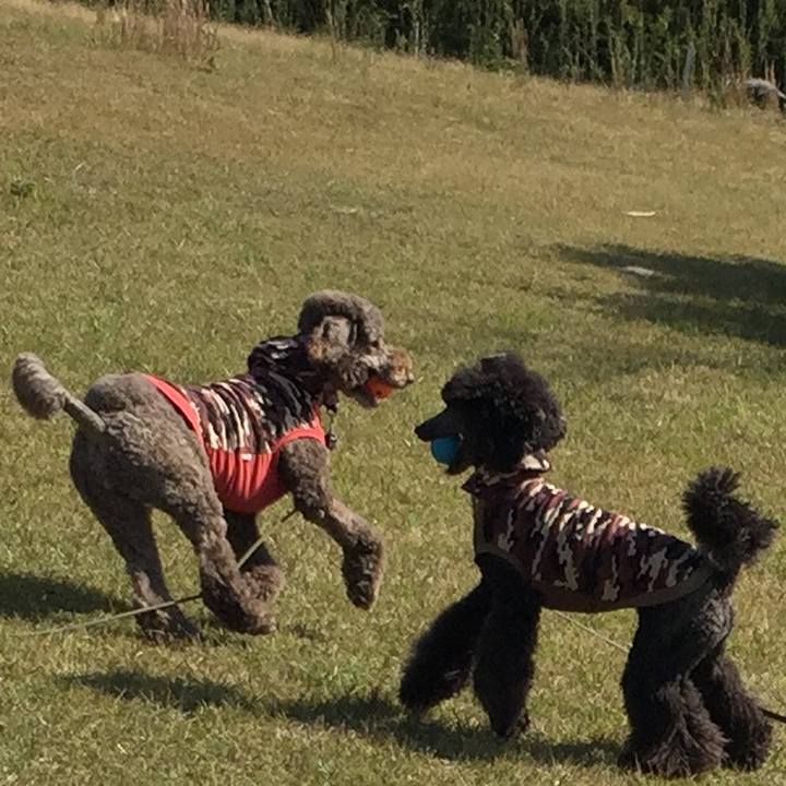 4c5a0006 c520 48c5 8ab5 7125cbae8ceb