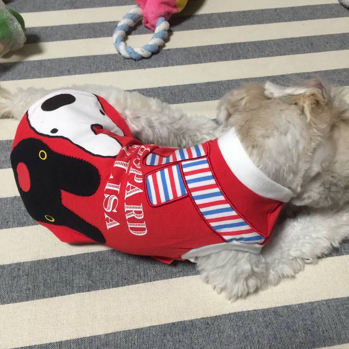 4c5a3829 ed8e 4b3e 8b4d 96a630495ed7