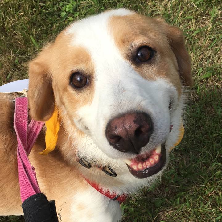 4c5a6a55 e0f6 4eed ba7c e83c5ee029ae