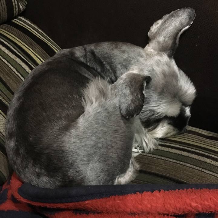 4c5ab410 0d95 4a5c bbd2 51142b2e8394