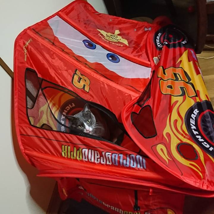 4c5ad7e3 6a38 4a16 8eed 75974f16d1c6