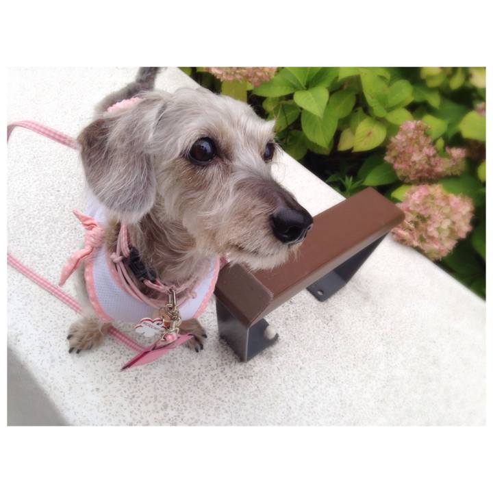 4c5b1bc8 5a72 4994 a8b4 18d3fa1074e1